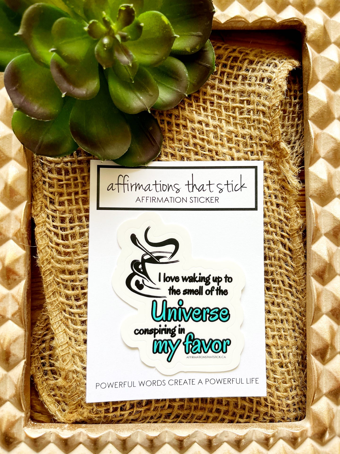 The Universe conspires Affirmation Sticker-Affirmations That Stick CA